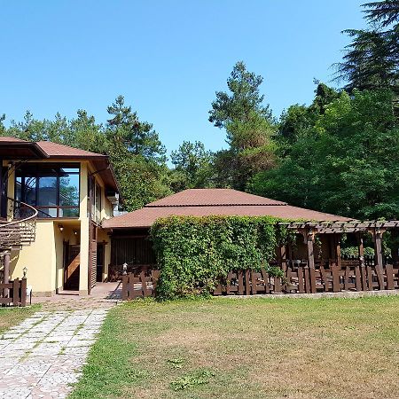 Guest House Black Sea Pizunda Exteriör bild